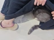 고양이하라🐱🖤