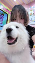 좋은 아침