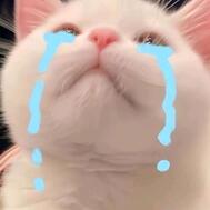 미안해.