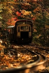 빈 🍁🍂