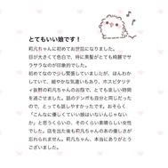 🎀 이용후기 🎀