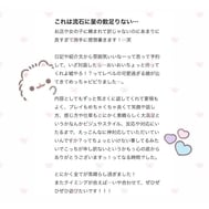 🎀 이용후기 🎀
