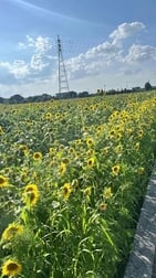 좋은 아침 ☀️
