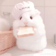 💕💕