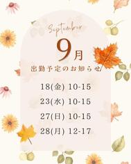 〖Schedule〗