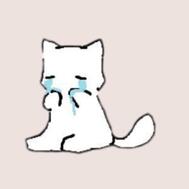 오늘은 정말 미안해요 🙇‍♀️