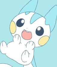 😽🌟