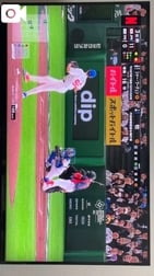 실은 🤭