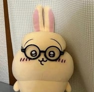 🌱 미래의 꿈🌱