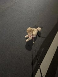 💟 나의 이 느낌을 모르겠어?