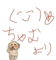 💟오와