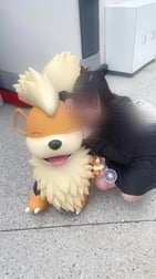 완완씨! !