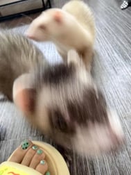 깜짝 놀란
