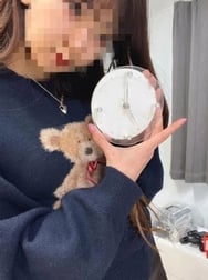아침