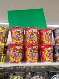 이런 큰 것 본 적 없는 🐖