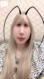 벌레는 벌레