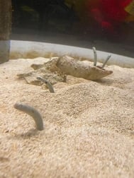 수족관 🐠🐟
