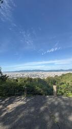 좋은 아침 ☀️