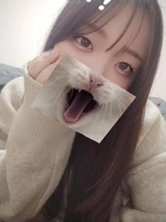 시즈쿠, 걱정?
