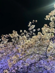 고마워요!