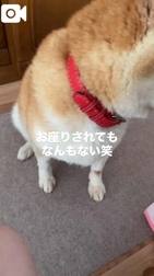 🐱🈵🈵🈵