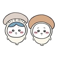 책 지명님께 💌
