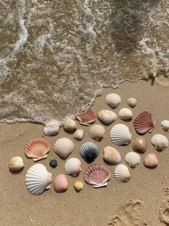 바다