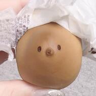 피요피요🐥⸒⸒