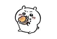감사합니다💌8.4
