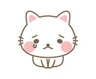 6/5 휴가를 받았습니다, 죄송합니다 💦