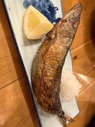 물고기 물고기🐟