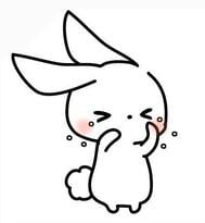 미안해... 😿