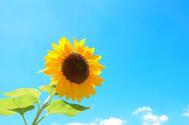 출근🌻