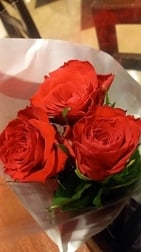 장미🌹