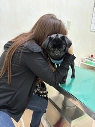사람 안심♡