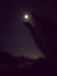 파쿠리토...이벤트 개최