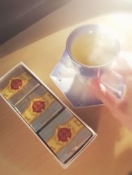 17일 감사합니다