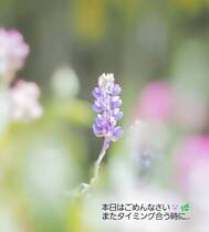 초대해 주셔서 감사합니다 ♡
