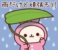 오늘 전부 휴가