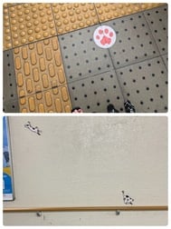 내일은...