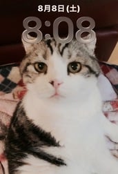 ♡18일♡