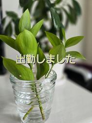 출근했습니다.