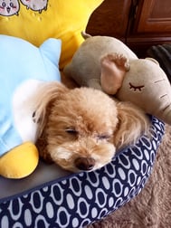 오늘 휴가