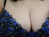 예약의 N님