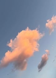 🧸🌙
