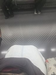 세로 지금 고탄다를 향하고 있습니다 ♥️😘🥰