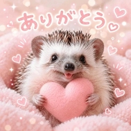 사진 가득 고마워 💕