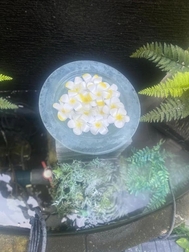 감사합니다💌