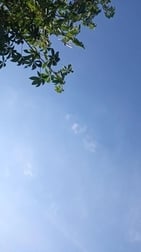 출근했습니다 🌈