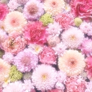 🌸 감사일기